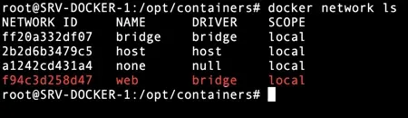 En tapant "docker network ls", vous devriez découvrir le réseau nouvellement créé.