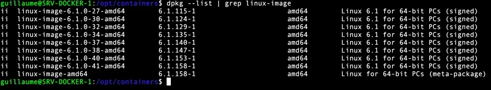 Lister tous les noyaux installés sur Debian