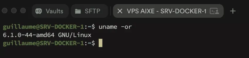 Vérifier la version du noyau avec la commande uname