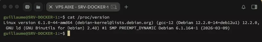 Le fichier /proc/version est une source fiable pour consulter votre version du noyau Linux.