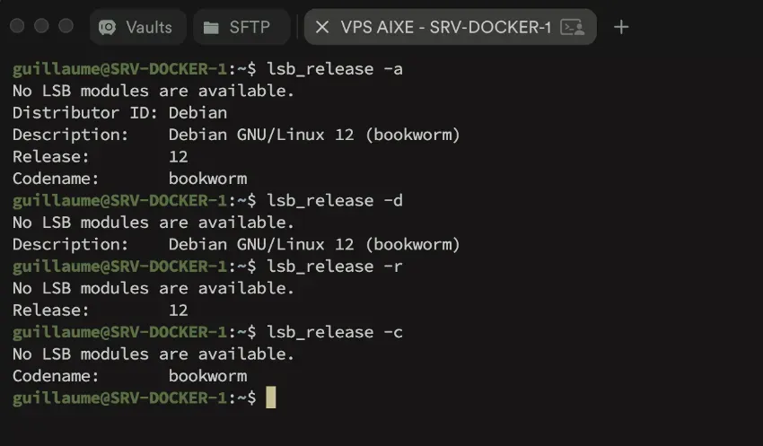 La commande lsb_release affiche les informations LSB (Linux Standard Base) de votre distribution. 