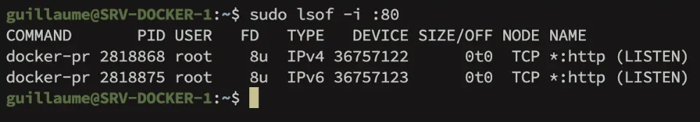 Identifier quel processus utilise un port spécifique avec lsof