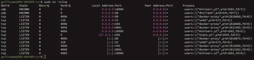 Afficher les processus (équivalent netstat -tulnp) avec ss