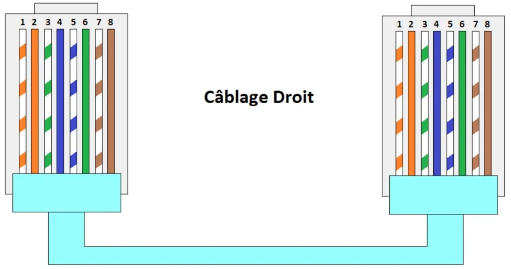 Le câble droit (straight-through)