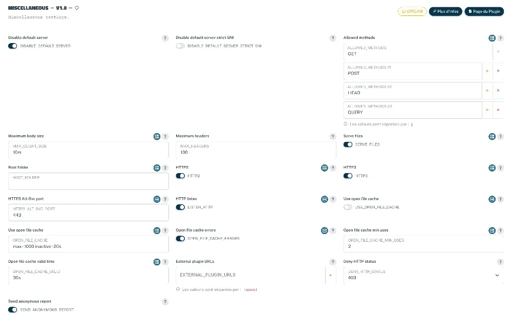 Disable default server&nbsp;:&nbsp;true&nbsp;–&nbsp;Vous permet d'automatiquement refuser les connexions pour des services qui n'existe pas, et les connexions sur l'adresse IP en brut.
