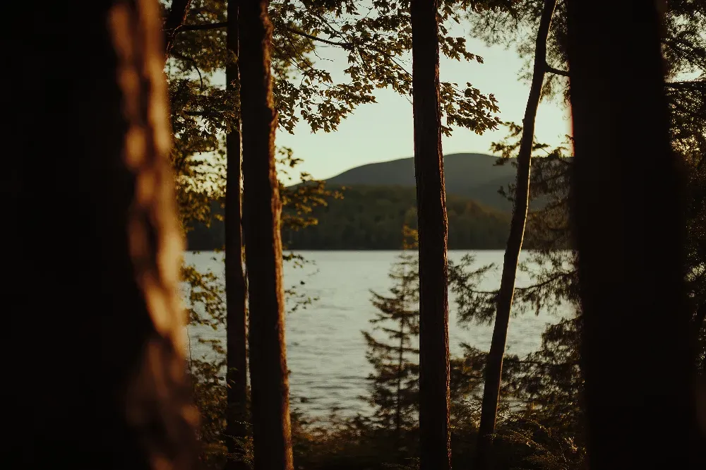 Déploiement et architecture du réseau FTTH en France